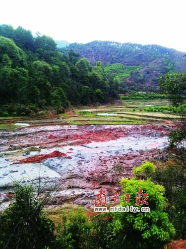 非法鋁灰廠無牌照無廠名 污水玷污千畝農(nóng)田