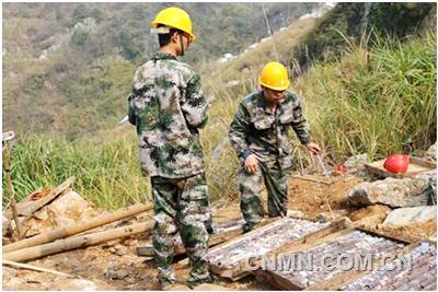 芳草無情綠意在 野外地勘勁正酣